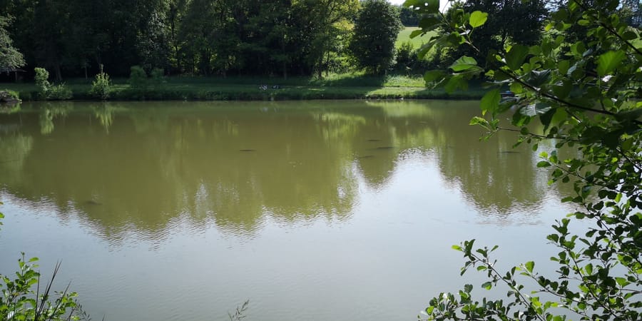 Badeteich im Feldatal